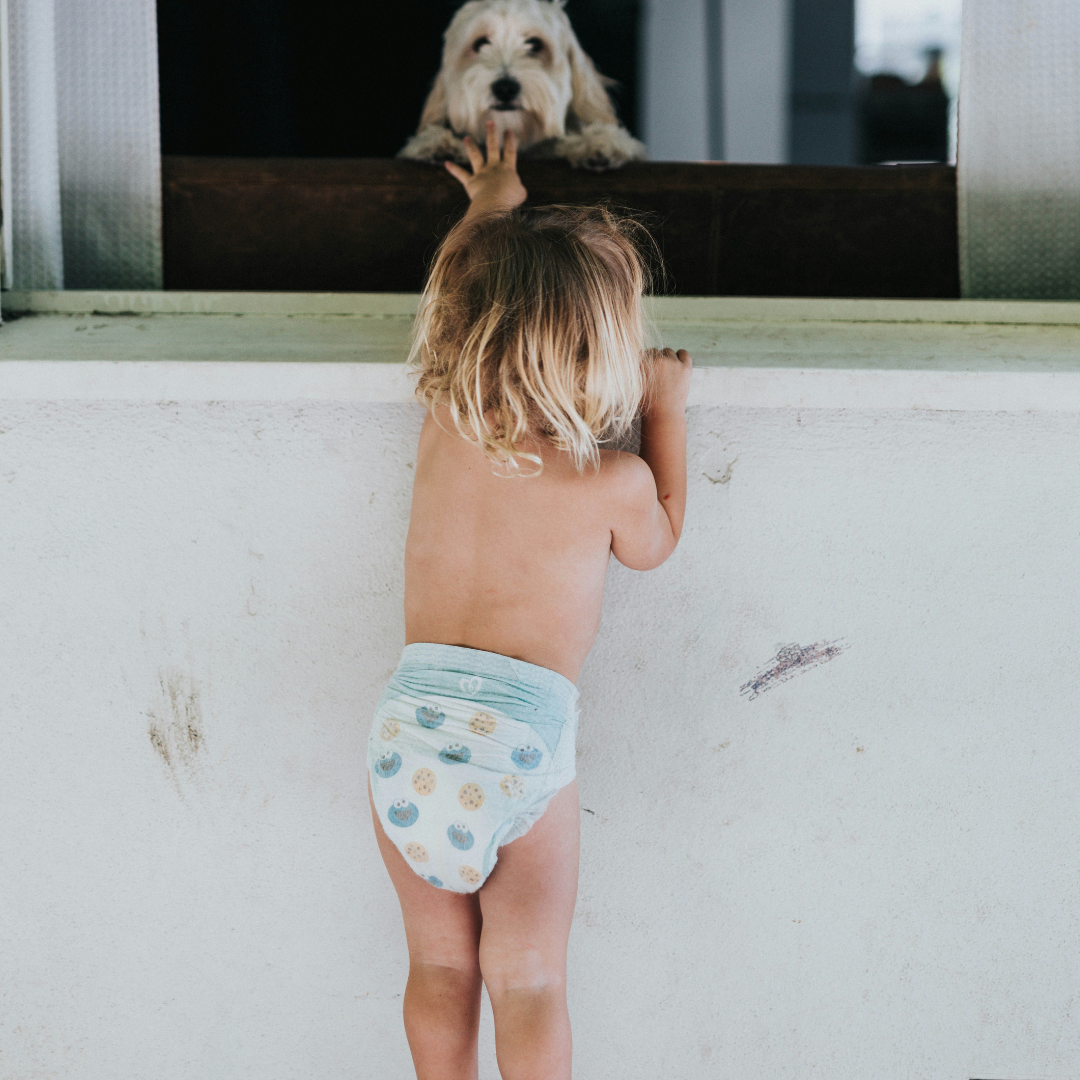What does your baby's poop color mean?